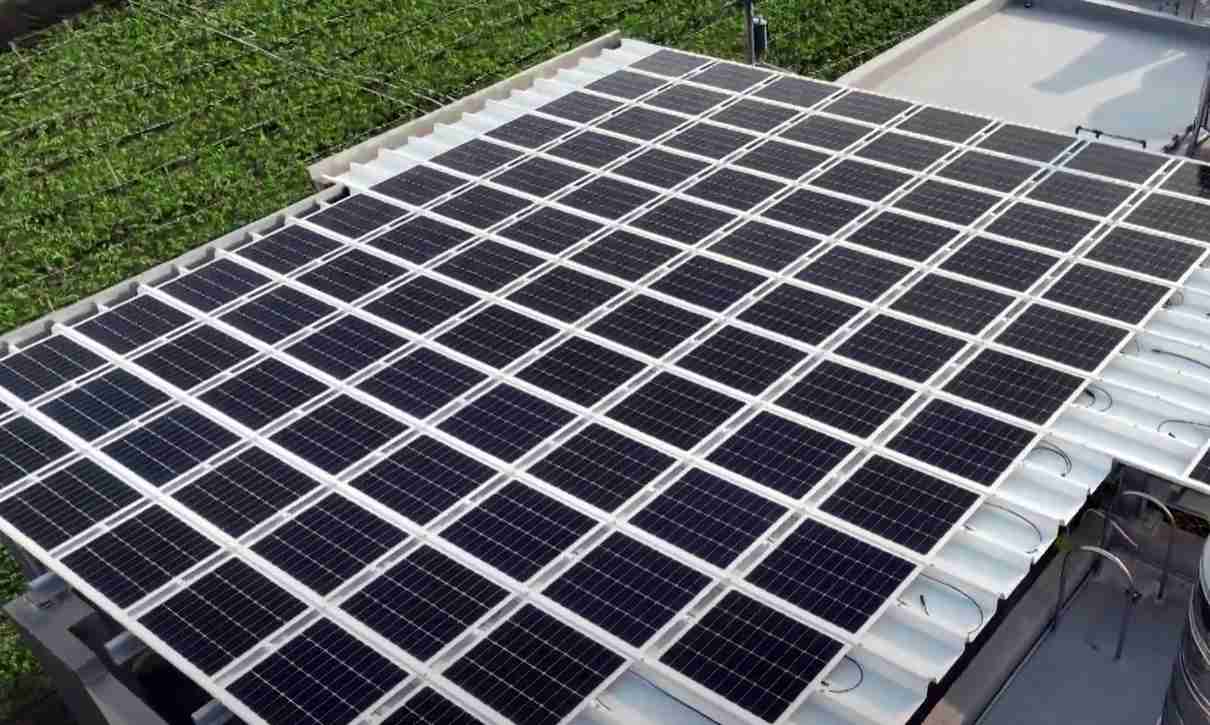 红龙扑克SunSteel光电浪板升级双玻结构，，，，以提升机械负载强度及气候耐候度，，，可广泛运用于多元场域